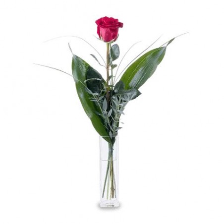 Rosa unidad