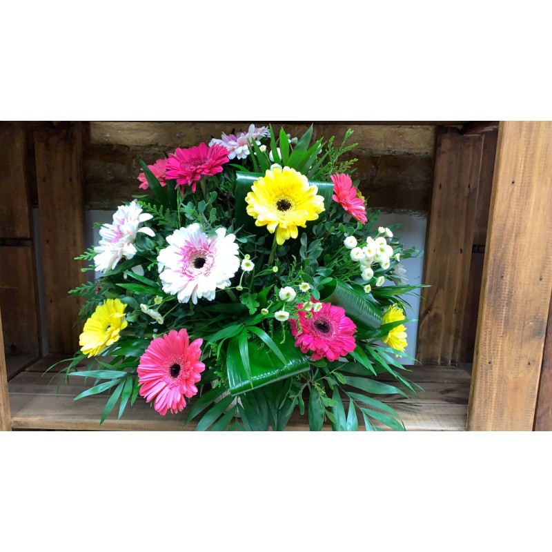 CESTA GERBERA CESTA GERBERA